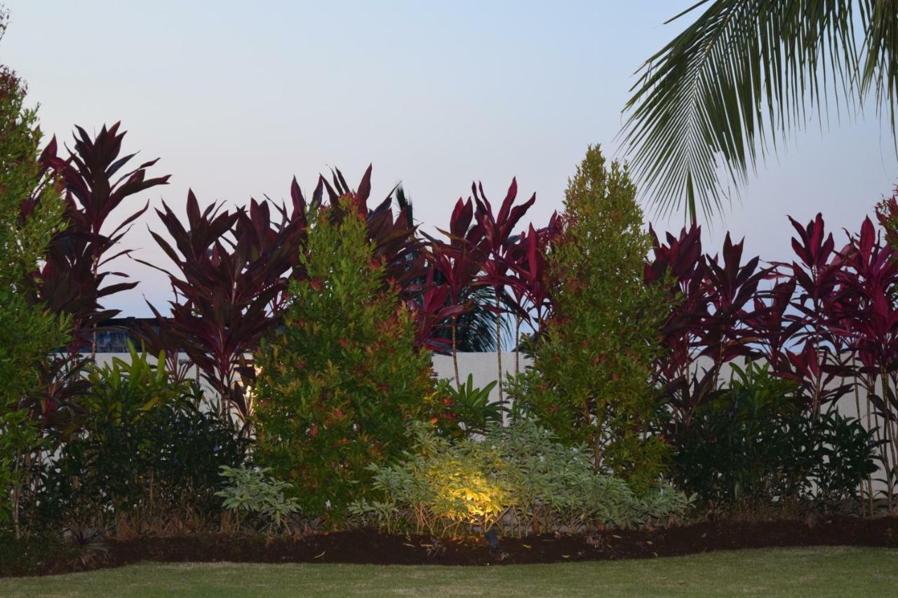 Villa Putih Lovina Εξωτερικό φωτογραφία