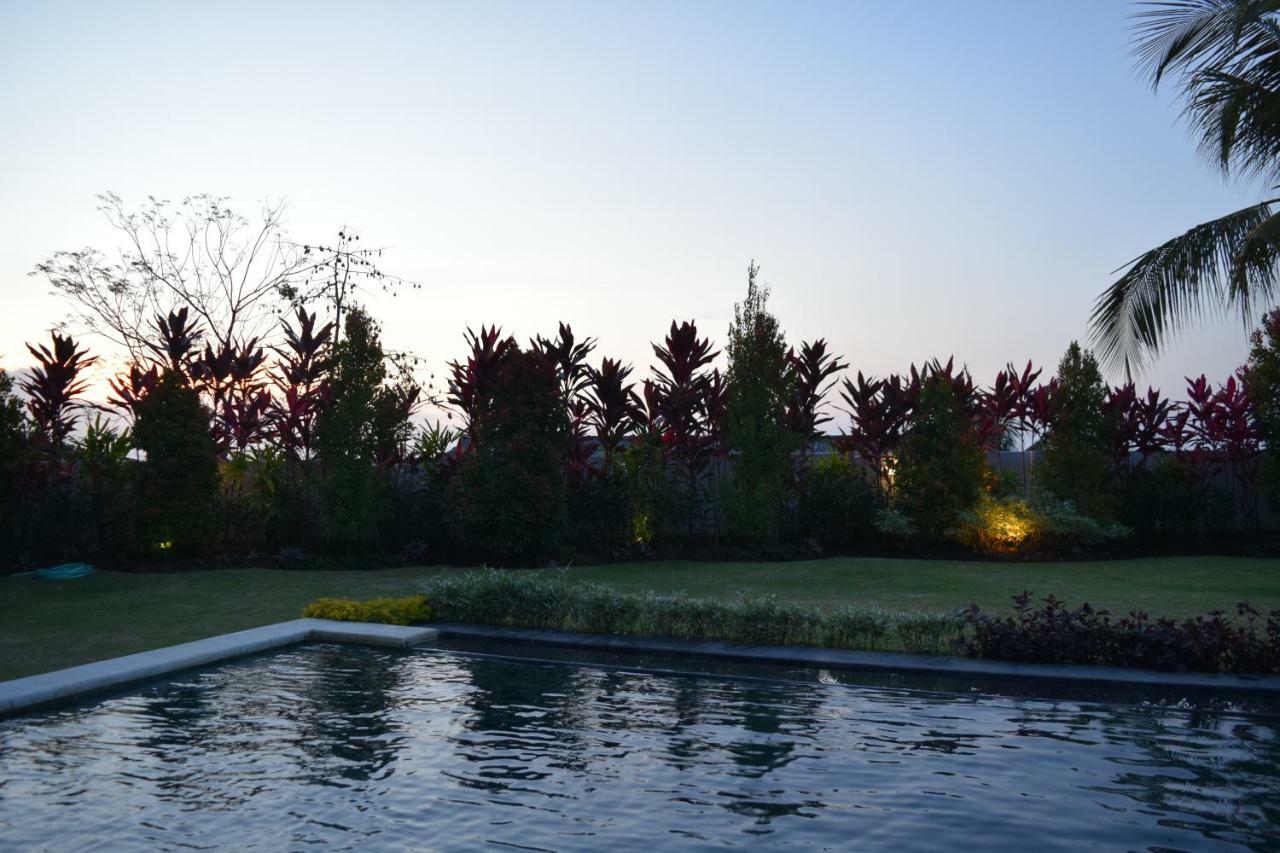 Villa Putih Lovina Εξωτερικό φωτογραφία